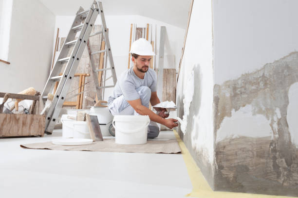 Best Comprehensive Air Testing for Mold Contaminants  in Fort Plain, NY
