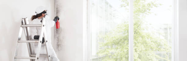 Best Basement Mold Removal  in Fort Plain, NY